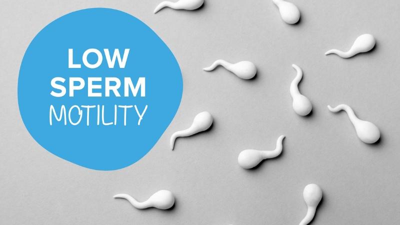 What is low sperm motility and how to try and prevent it