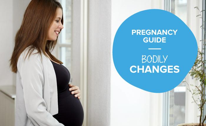 Pregnancy guide to bodily changes