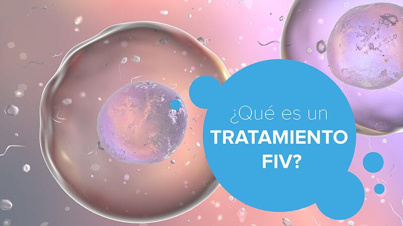 ¿Qué es un tratamiento FIV?