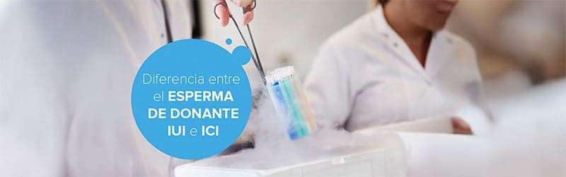 ¿Cuál es la diferencia entre el esperma de donante IUI e ICI? ¿Cuál es la diferencia entre el esperma de donante IUI e ICI?