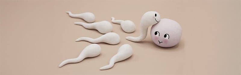 什么是 IVF 辅助生育? 什么是 IVF 辅助生育?