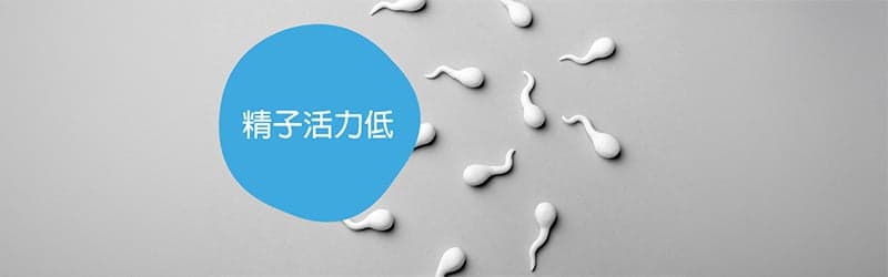 什么是精子活力低以及如何尝试和预防 什么是精子活力低以及如何尝试和预防