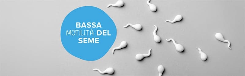 Che cos'è la bassa motilità del seme e come cercare di prevenirla Che cos'è la bassa motilità del seme e come cercare di prevenirla