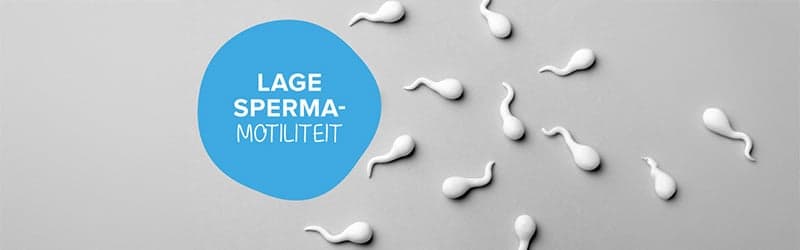 Wat is lage spermamotiliteit en hoe u het kunt proberen te voorkomen Wat is lage spermamotiliteit en hoe u het kunt proberen te voorkomen