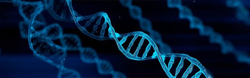 We test our sperm donors for 7 different types of genetic diseases We test our sperm donors for 7 different types of genetic diseases