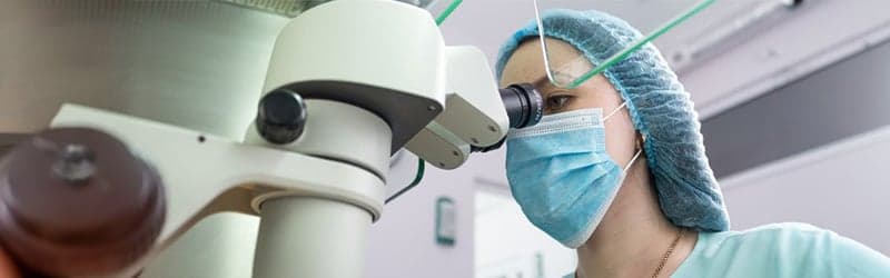 Fertility doctor fertilizing an egg after retrieval Fertility doctor fertilizing an egg after retrieval