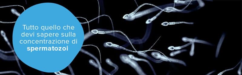 Spermatozoi in primo piano Spermatozoi in primo piano