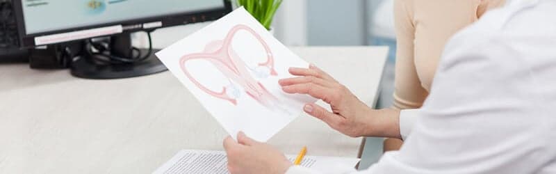 IUI IUI