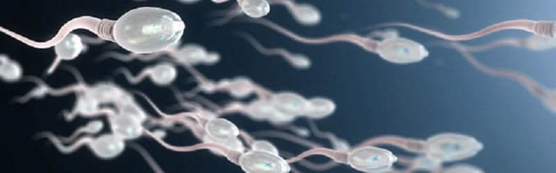 IUI-ready and ICI-ready sperm IUI-ready and ICI-ready sperm