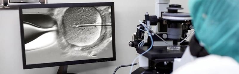 Fertility doctor researching vitrification Fertility doctor researching vitrification