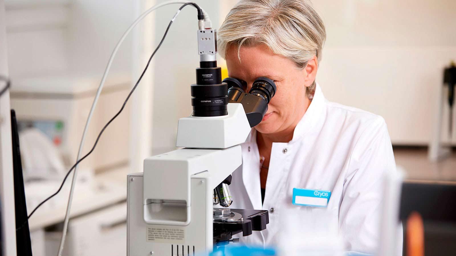 顕微鏡を使ってドナー精子サンプルの品質を評価するクリオスの検査技師