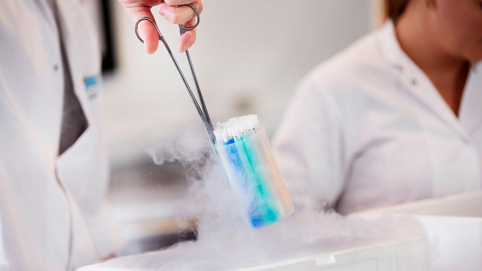 Cryos laboratory technician handling IUI and ICI sperm straws Cryos laboratory technician handling IUI and ICI sperm straws