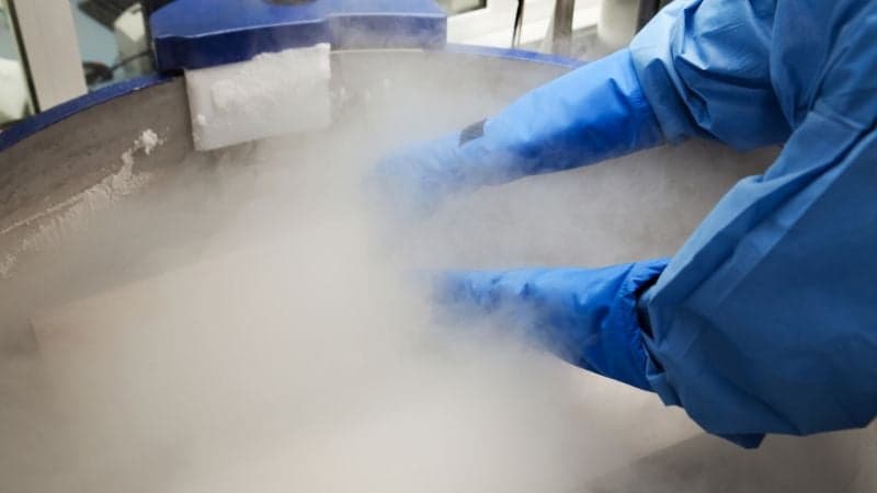Embryologist working in a cryotank Embryologist working in a cryotank