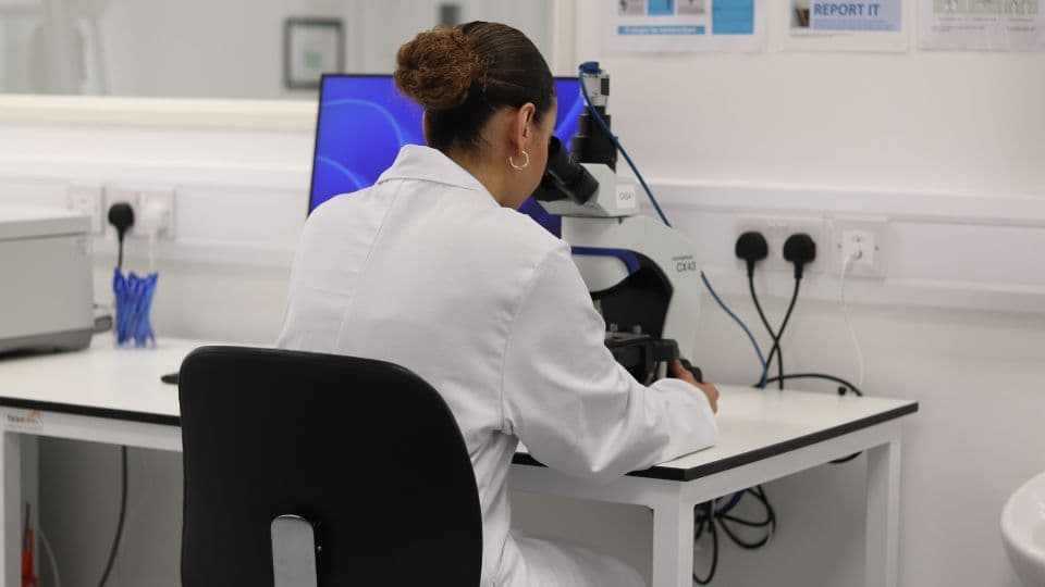 Woman working in lab Woman working in lab
