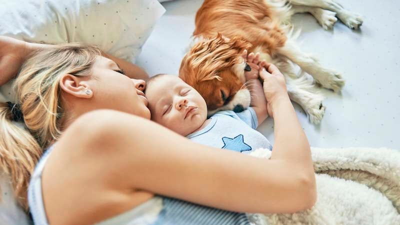 A single mother taking a nap with her son and their dog
