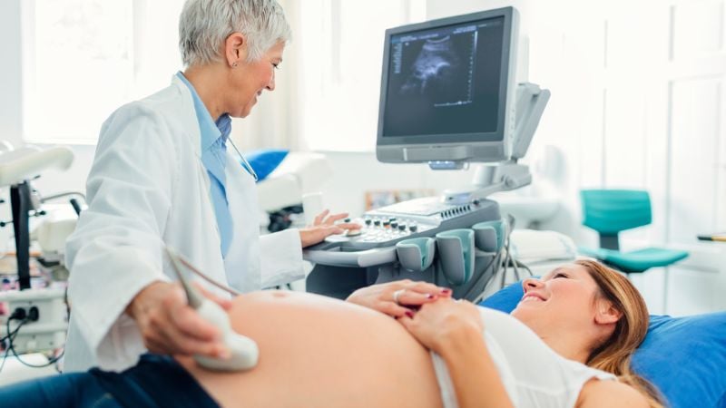 Fertility doctor performs an egg retrieval