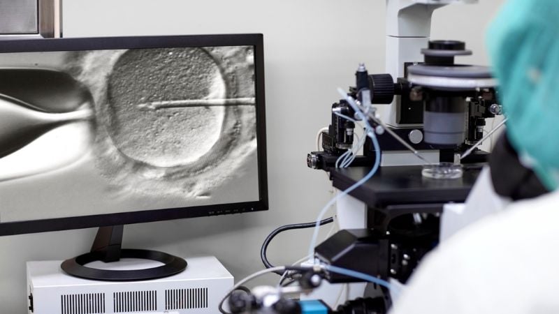 Traitement ICSI apr&egrave;s vitrification