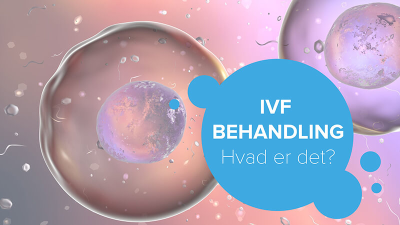 IVF behandling hvad er det
