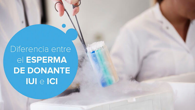 ¿Cuál es la diferencia entre el esperma de donante IUI e ICI?