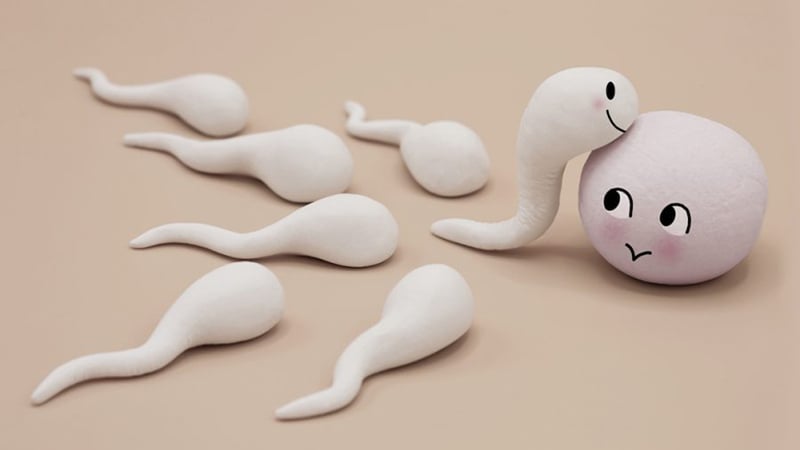 什么是 IVF 辅助生育？