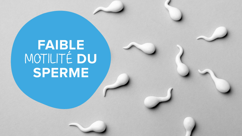 Qu’est-ce que la faible motilité du sperme et comment l’éviter ?