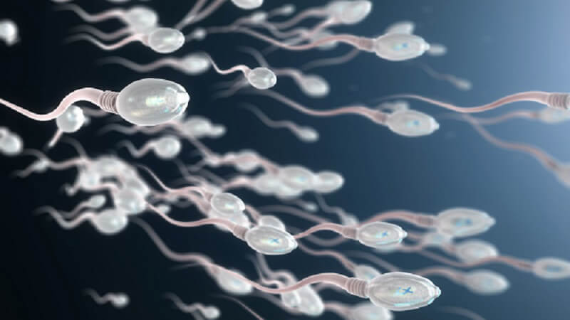 IUI-ready and ICI-ready sperm