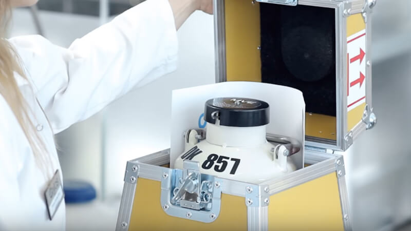 liquid nitrogen tank cryos