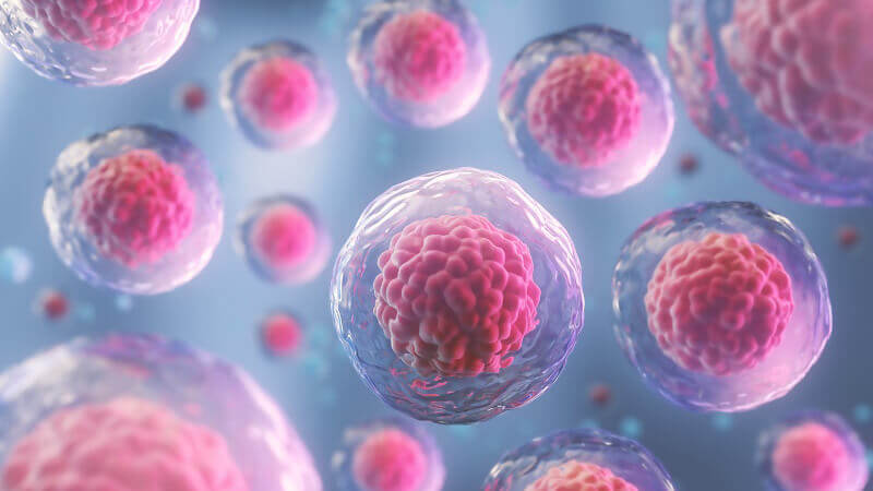 donor eggs: who uses them?
