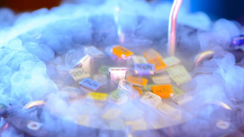 egg freezing / storing