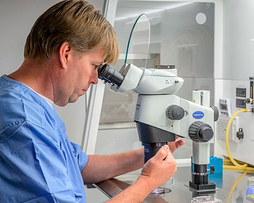 En forsker fra Cryos ser på sædceller i et mikroskop
