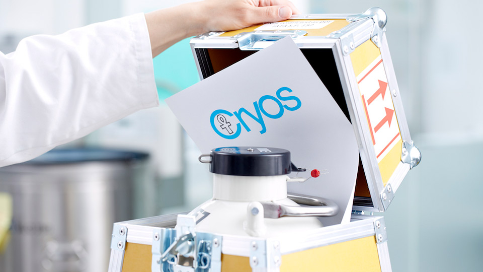 Spendereizellen von Cryos bereit für Versand und Lieferung in einem sicheren Stickstoffbehälter