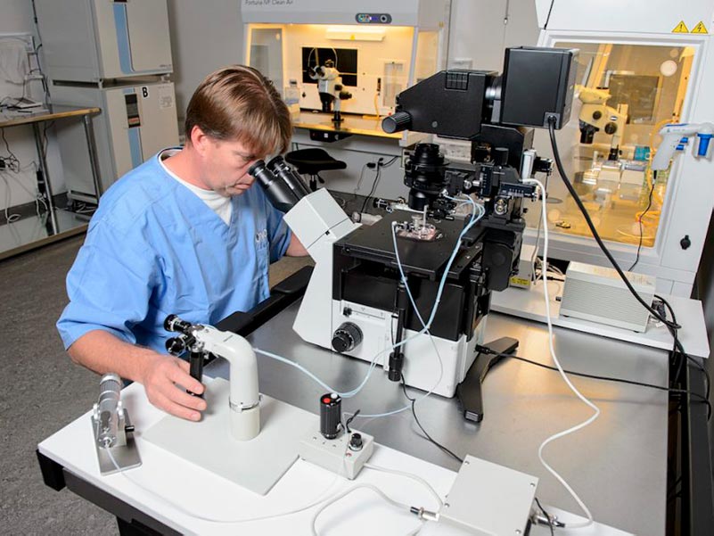 Orlando research center sperm