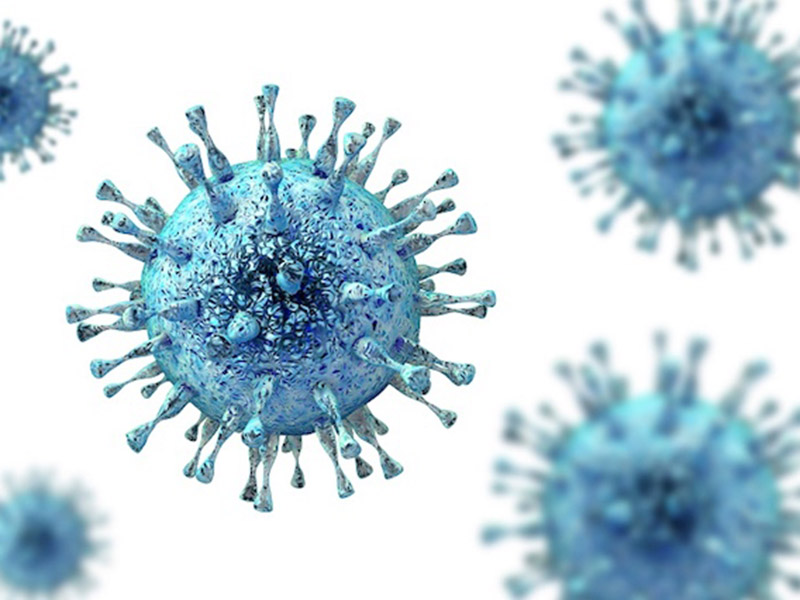 CMV (Cytomegalovirus) virus cells 