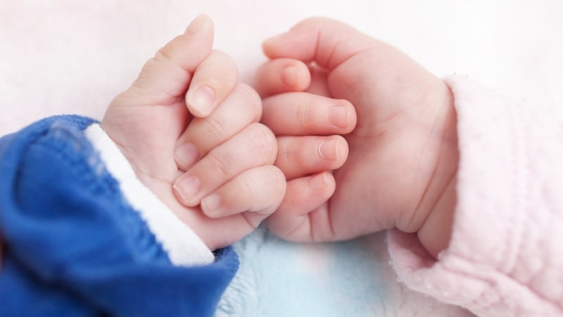 Twin donor-conceived children holding hands