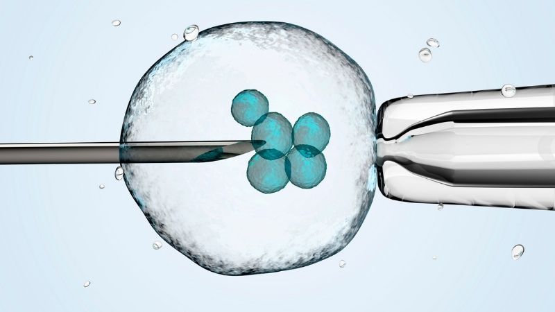 A fertility treatment with donor sperm in process
