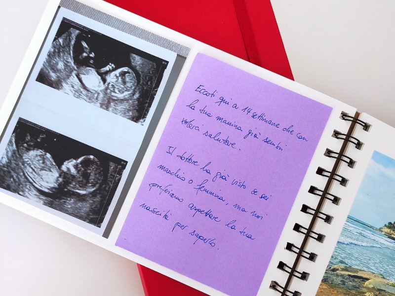 Verena and Enrico made a book about how their donor-conceived child was born