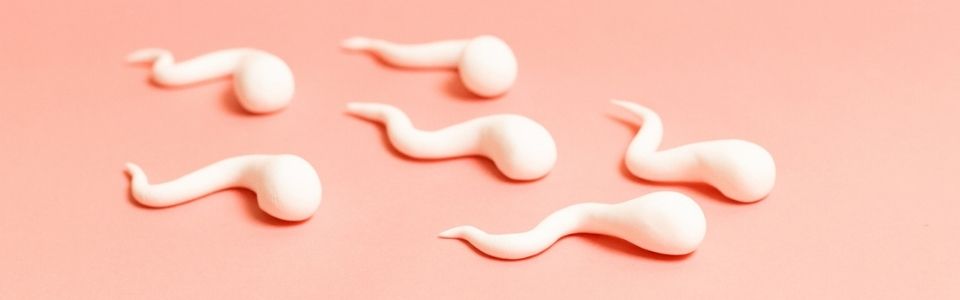 An illustration of donor sperm
