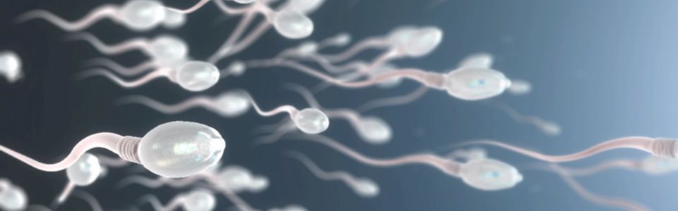 Donor sperm illustrated