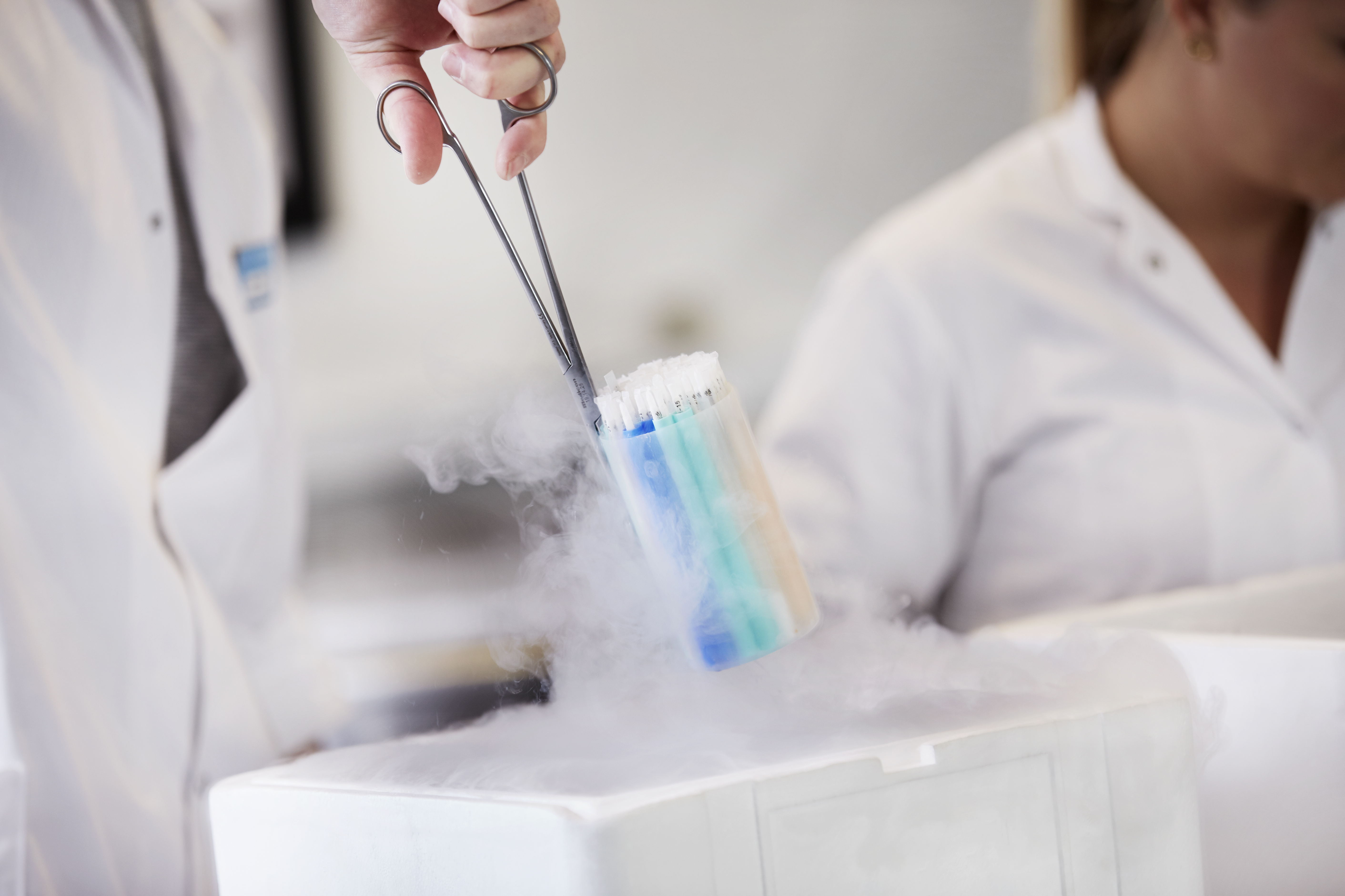 Pajuelas de esperma congeladas tras una donación de esperma en Cryos 