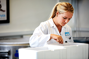 Una empleada del laboratorio de Cryos examinando pajuelas de esperma (foto del kit de prensa de Cryos)