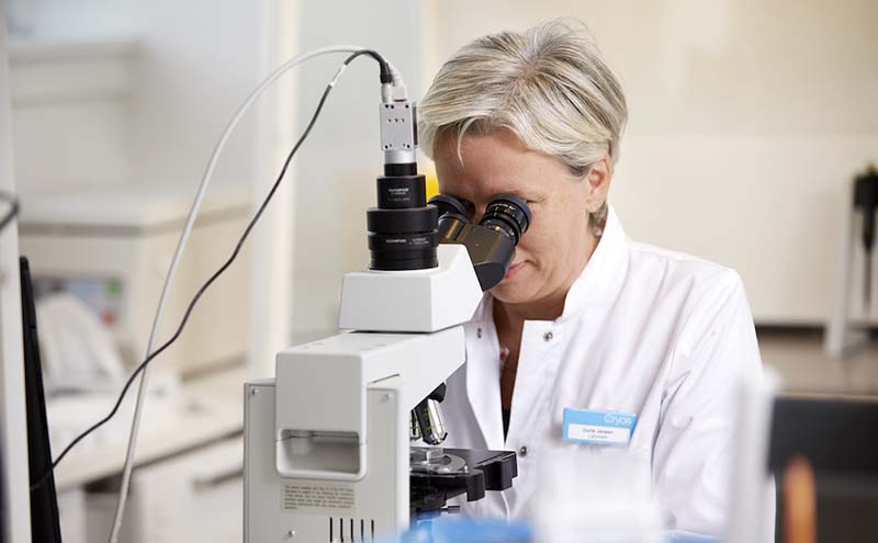顕微鏡でドナー精子の健康状態を検査するクリオスのラボのスタッフ