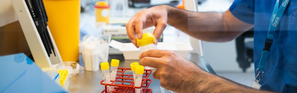 Fertility doctor testing donor eggs