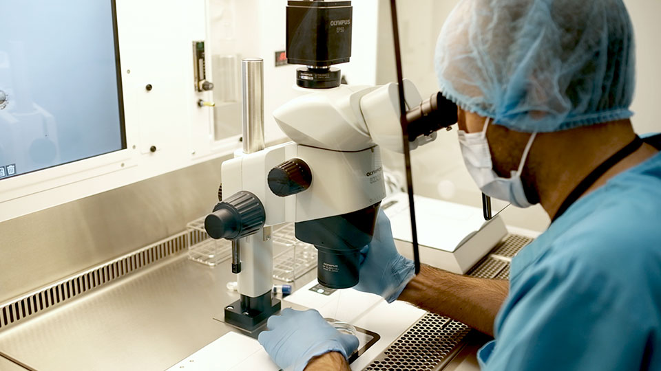 Cryos lab testing egg donor for genetic diseases