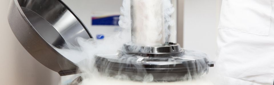Doctor pulling eggs from a cryo tank