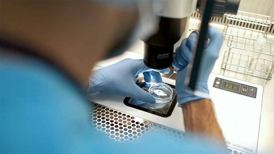 With Cryos Donor Egg Guarantee you can expect one blastocyst or pregnancy from viable embryos