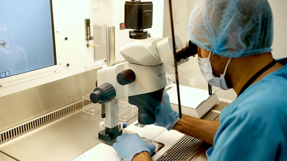 Cryos lab testing egg donor for genetic diseases