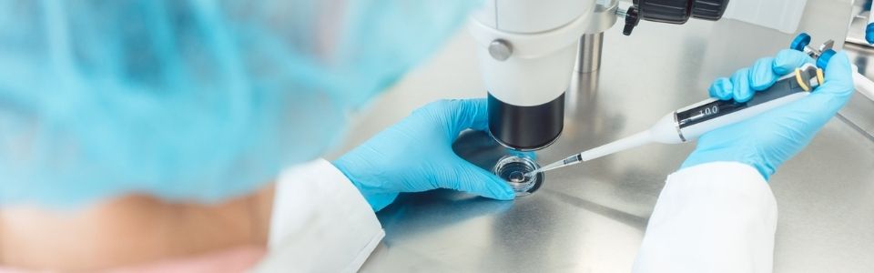 Doctor fertilizing a donor egg