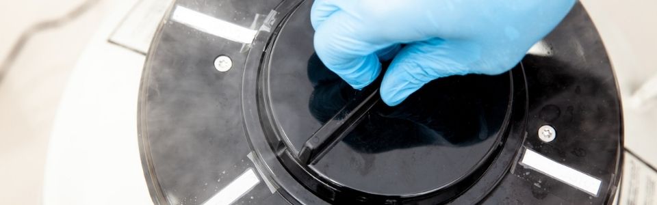 A cryo tank containing donor eggs