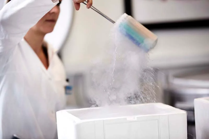 Donor sperm is stored at -196 degrees in Cryos' nitrogen tanks