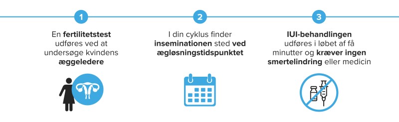 En illustration af IUI-behandlingens forløb